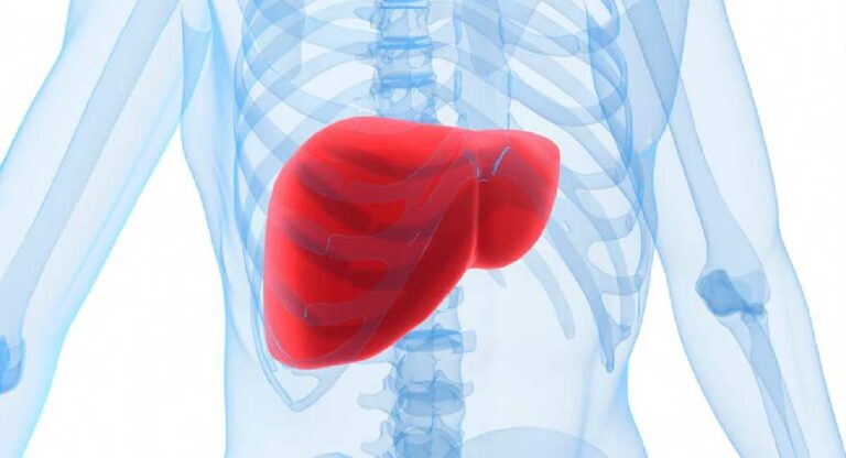 Care Of Liver: ‘अशी’ घ्या लिव्हरची काळजी