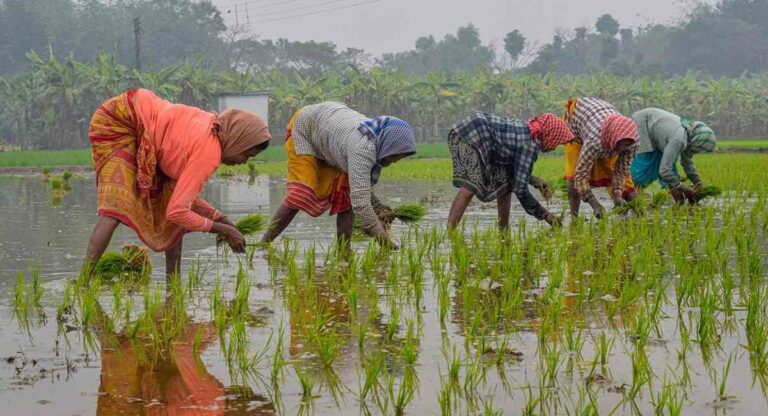 Farmer : शेतकऱ्यांना फसवणाऱ्यांवर आता होणार कारवाई; भरारी पथके सज्ज