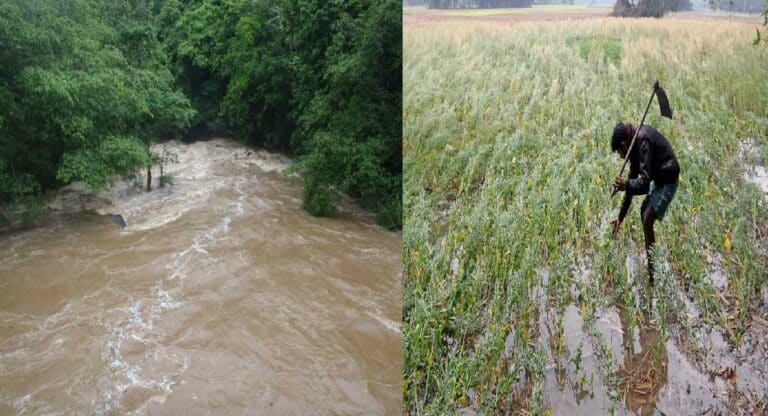 Unseasonal rain : भर मे महिन्यात विदर्भातील नद्यांना आला पूर