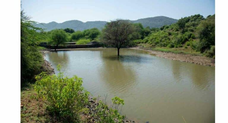 Water : जलस्रोत राज्ये; ‘या’ ७ राज्यांमध्ये पाण्याची कमतरता कधीच नाही जाणवत