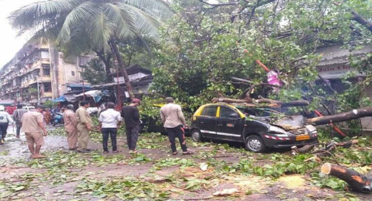 Tree Falls : प्रभादेवीत झाड पडून कचरा वेचक महिलेचा मृत्यू