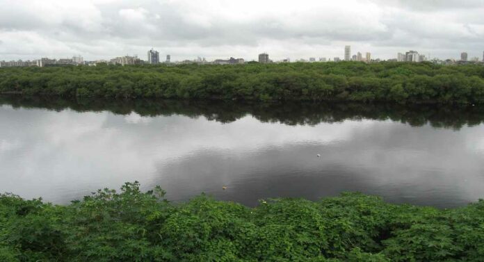 Mithi River : मिठी नदीतून किती गाळ काढला?; 'एसआयटी'मार्फत चौकशी होणार