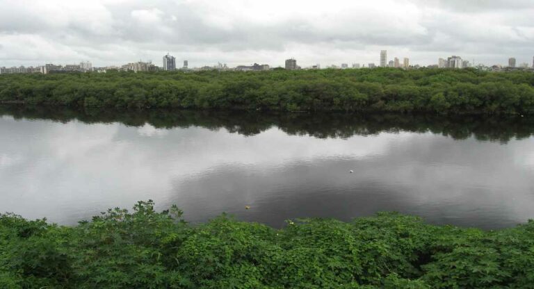 Mithi River : मिठी नदीतून किती गाळ काढला?; ‘एसआयटी’मार्फत चौकशी होणार