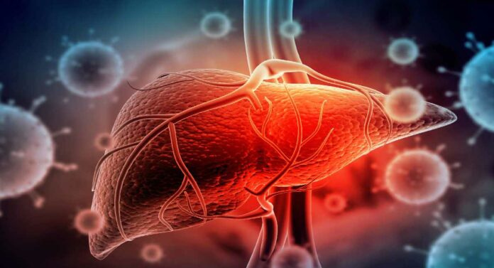 World Hepatitis Day : जगात दर ३० सेकंदाला हेपेटाइटिस रुग्णाचा होतो मृत्यू