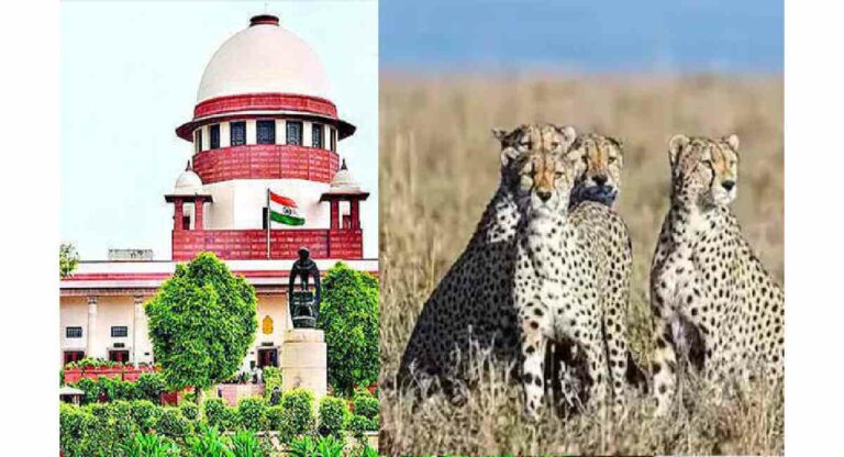 Supreme Court  : एका वर्षात आठ चित्यांचे मृत्यू; सर्वोच्च न्यायालय म्हणाले… 