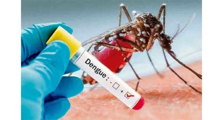 Dengue : मुंबईत डेंग्यूचा बळी; महापालिकेची पडताळणी सुरु