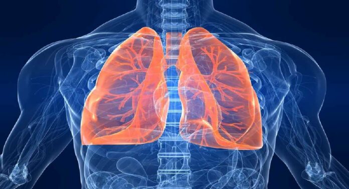 World Lung Cancer Day : फुफ्फुसाच्या कर्करोगाच्या निदानाबाबत अद्यापही रुग्णांकडून अनभिज्ञता!