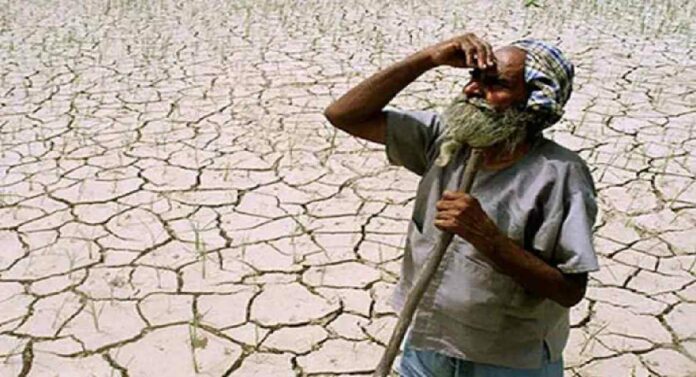 Monsoon Update : मान्सुनने फिरवली पाठ, उत्तर महाराष्ट्र पडला कोरडा!, 'या' जिल्ह्यांचे शेतकरी संकटात