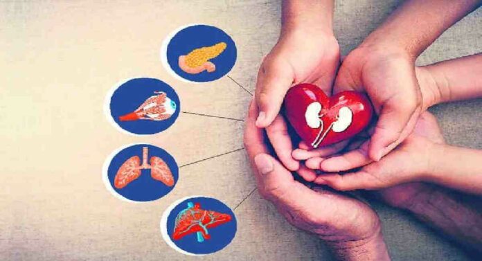 Organ Donor : देशातील सार्वजनिक रुग्णालयातून अवयव दाते मिळण्यासाठी सक्षम यंत्रणेची गरज - डॉक्टरांचे मत