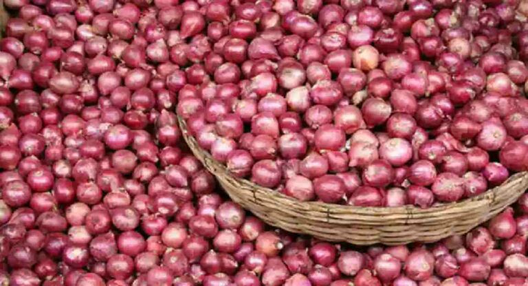 Onion Prices : आता थेट वाणिज्य मंत्रालय ठरवणार कांद्याचे दर?