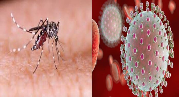 Zika Virus : मुंबईत झिका व्हायरसचा शिरकाव, वाचा कुठे घडली घटना