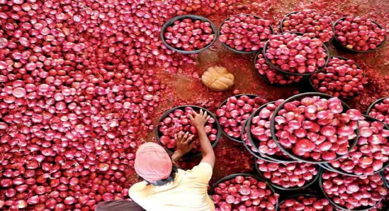 Onion Buying Center : राज्यात १६ ठिकाणी नाफेडची कांदा खरेदी केंद्र सुरु