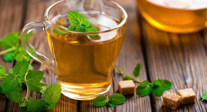 Green Tea : वजन कमी करण्यासाठी ग्रीन टी पित असाल सावधान, अतीसेवनाने होऊ शकतात आरोग्यावर भयंकर परिमाण