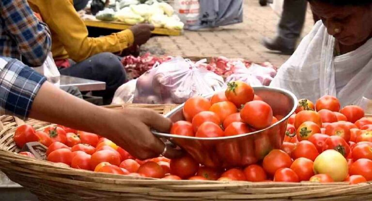 Tomato : ग्राहकांना दिलासा! टोमॅटोच्या दरात पन्नास टक्क्यांची घट; बाजारात आवक वाढली