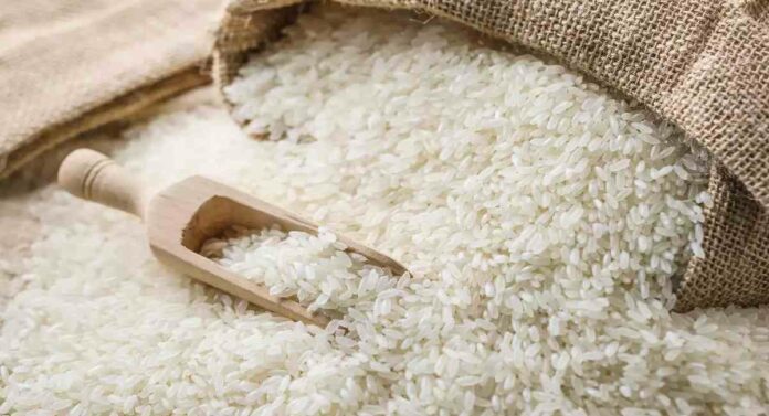 Rice Exports : निर्याती बंदी असूनही 'या' देशांना पाठवणार तांदूळ