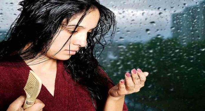 Hair Fall : पावसाळ्यात केसगळतीमुळे त्रस्त आहात, 'हे' घरगुती केसांचं तेल वापरून पाहा