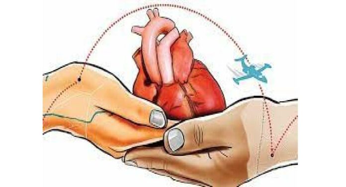 Organ Donation : मुंबईत ३६ वर्षांच्या इसमाकडून अवयवदान