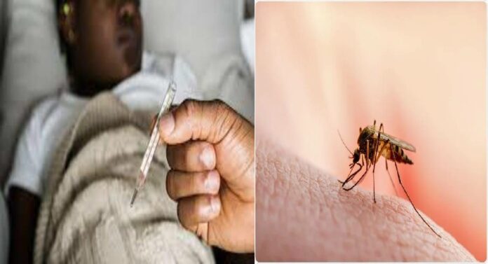 Malaria Patient Increase : मुंबईत मलेरियाच्या रुग्णसंख्येत वाढ