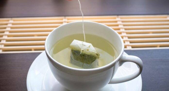 Green Tea : दिवसाची सुरुवात ग्रीन टी पिऊन करणे योग्य आहे का ? जाणून घ्या तज्ज्ञ काय सांगतात