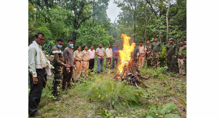 Nagpur Tiger Cubs Dead : नागपूर येथील पावनी येथे वाघाच्या दोन बछड्यांचा मृत्यू