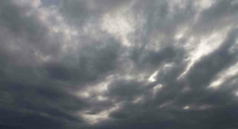 Monsoon Returns : राज्यात पुन्हा मान्सून सक्रिय; विदर्भात ऑरेंज अलर्ट