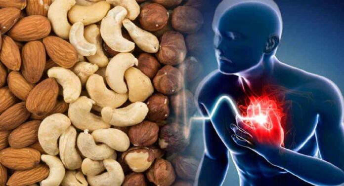 Cashew For Heart : काजूचे सेवन टाळू शकते ह्रदयविकाराचा झटका !