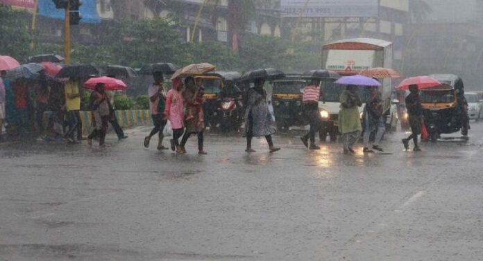 Rain Alert: कोल्हापूरमध्ये अवकाळी पावसाची दमदार हजेरी, 'इतक्या' लाखांचं नुकसान