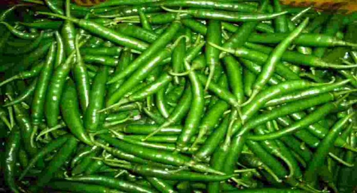 Green Chillies Price : हिरव्या मिरचीला दर नसल्याने शेतकरी चिंताग्रस्त