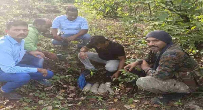 Gadchiroli Naxalist : गडचिरोली येथे माओवाद्यांकडून शस्त्रास्त्रांचा साठा जप्त; गडचिरोली पोलिसांना मोठे यश