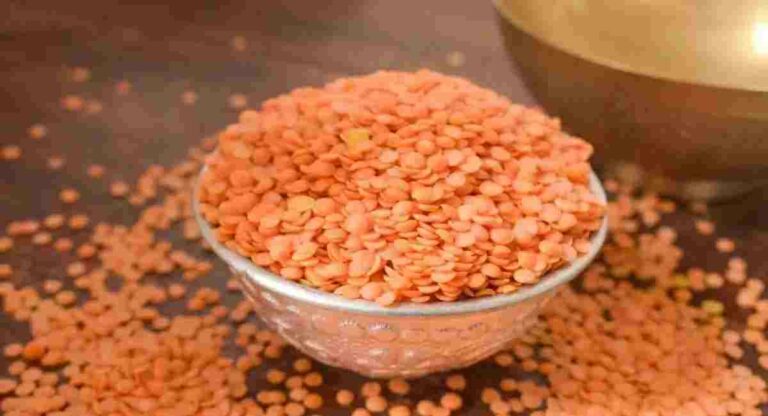 Lentils Price Hike : मसूर डाळीच्या कॅनडातून होणाऱ्या आयातीवर परिणाम; किमतीत वाढ होणार का ?