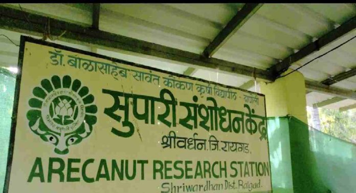 Supari Research Centre : सुपारी संशोधन केंद्राच्या विस्तारीकरणास मान्यता