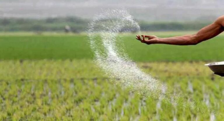 Fertilizers increased : जागतिक बाजारात खतांची किंमत वाढली, रशियाकडून सवलतीच्या दरात खते विक्री बंद