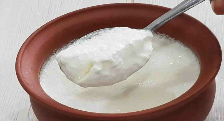 Curd : शुभ कार्याआधी दही साखर खाण्यामागील काय आहे वैज्ञानिक कारण?