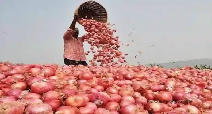 Hike In Onion Price : डिसेंबर पर्यंत कांद्याचे दर राहणार चढेच