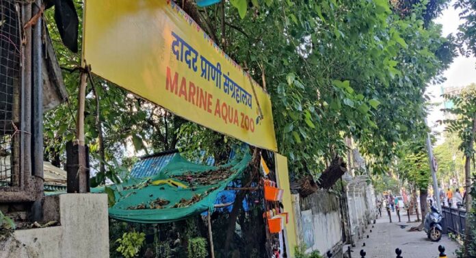 Dadar Zoo : शिवाजीपार्क मधील 'ते' अनधिकृत प्राणिसंग्रहालय बंद?