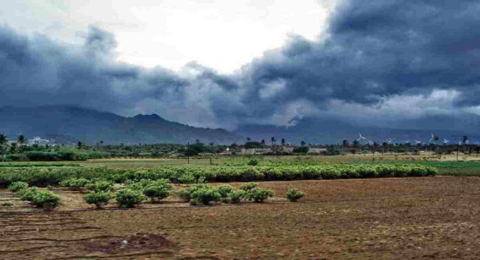 Monsoon Update : देशात यंदा सरासरीपेक्षा कमी पाऊस, महाराष्ट्रात ११.४ टक्के कमी पाऊस