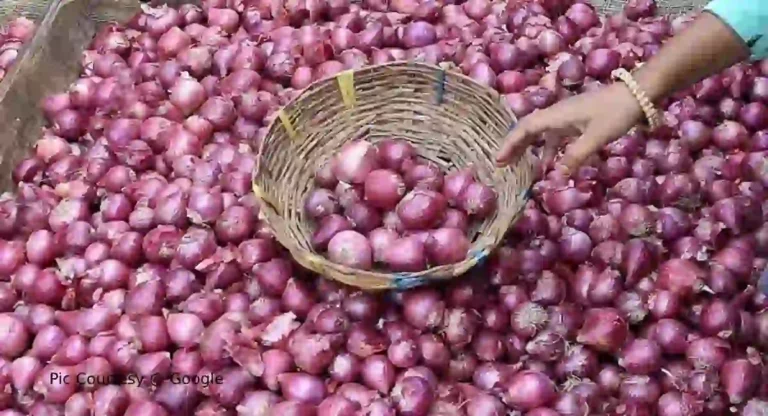 Onion Price : कांदा पुन्हा रडवणार