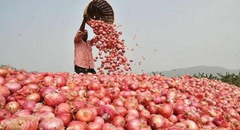 Onion Auction : कांद्याची कोंडी फुटली; कांदा लिलावाला सुरुवात