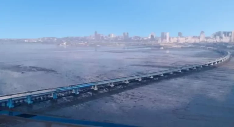 Mumbai Trans Harbour Link : २० मिनिटात मुंबईतून नवी मुंबई करा सुस्साट प्रवास