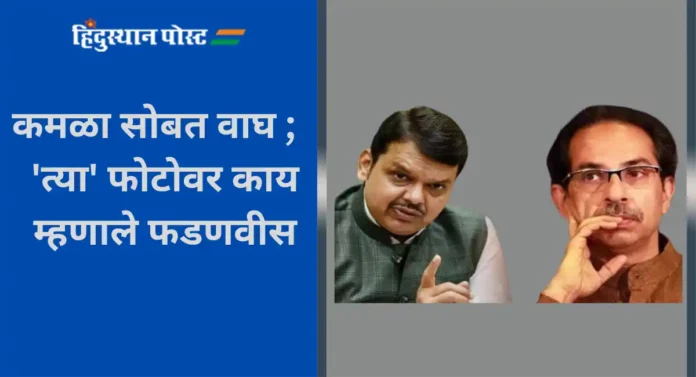 Devendra Fadnavis : कमळा सोबत वाघ ;'त्या' फोटोवर काय म्हणाले फडणवीस