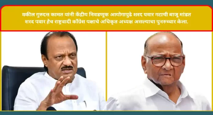 NCP Hearing : शरद पवार हेच राष्ट्रवादीचे अध्यक्ष; शरद पवार गटाचे विविध दाखले आयोगापुढे सादर