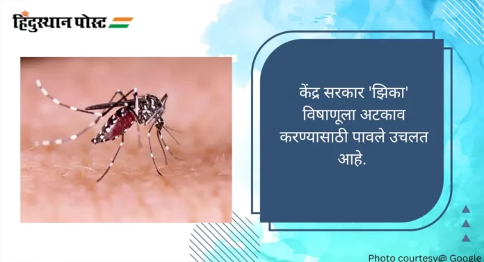 Zika Virus: राज्यात 'झिका' विषाणूबाधित ११ रुग्ण, डॉक्टरांकडून काळजी घेण्याचे आवाहन