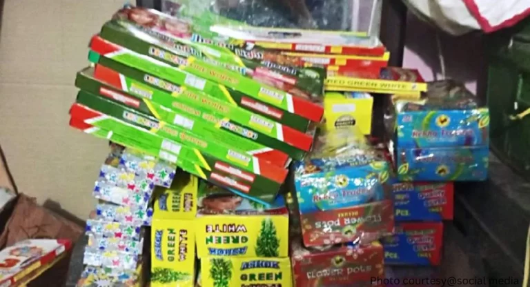 Green Fireworks: हरित फटाक्यांमध्ये आढळले घातक ‘बेरियम’, विक्रीवर निर्बंध आणण्यासाठी मुख्यमंत्र्यांकडे पत्राद्वारे मागणी