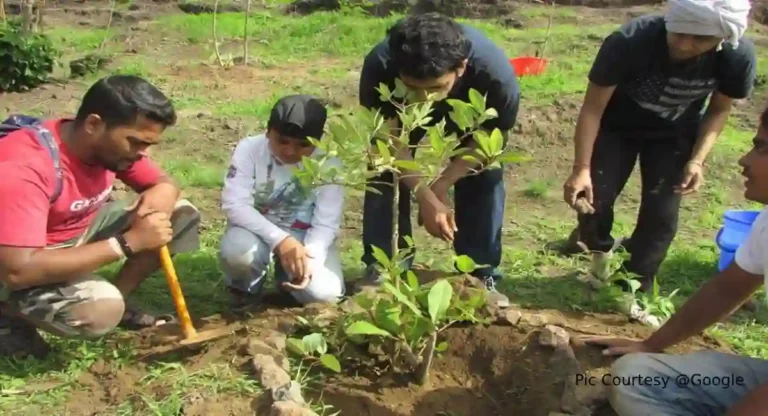 Tree Plantation : पर्यावरण संतुलनासाठी खेरवाडीत २०० बहावा वृक्षांची लागवड