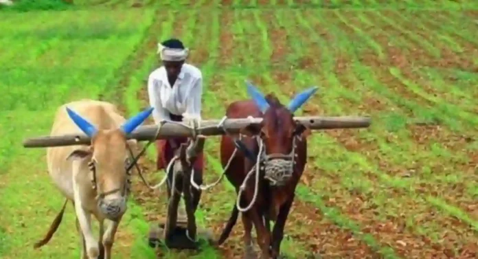 National Farmers Day : कृषीक्षेत्रात क्रांती घडवणारे माजी पंतप्रधान चौधरी चरणसिंग यांच्या जयंतीदिनी साजरा होतो राष्ट्रीय शेतकरी दिन