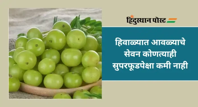 Amla Juice Benefits : आरोग्यदायी आवळ्याचा रस