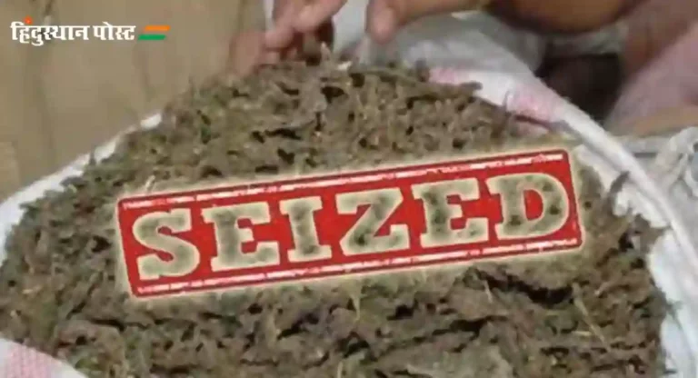 Nashik Ganja seized : नाशिकमधून तब्बल ३८ लाखांचा गांजा जप्त