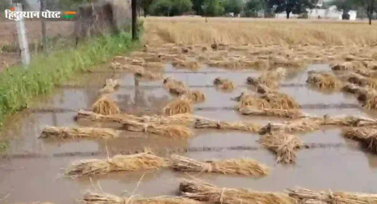 Unseasonal Rain : राज्यात अवकाळीमुळे तब्बल १३ लाख हेक्टरवरील पिकांचे अतोनात नुकसान