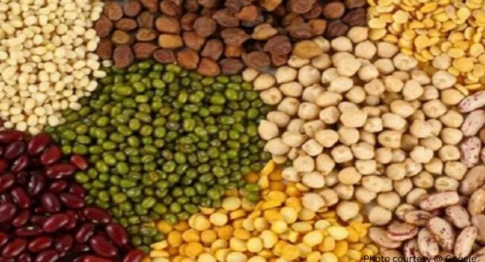 Pulses Price Hike: डाळींचे भाव कमी करण्यासाठी सरकारकडून 'प्रभावी' उपाययोजना राबवण्याचा निर्णय