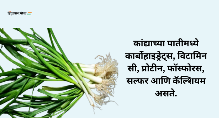 Benefits of Onion Leaves : कांद्याची पात खाण्याचे फायदे